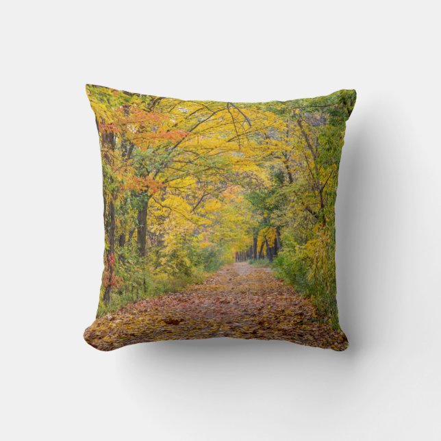 Autumn Colours At Independence State Park Cushion (Front)