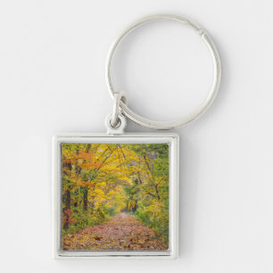 Autumn Colours At Independence State Park Key Ring