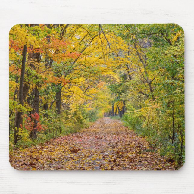 Autumn Colours At Independence State Park Mouse Pad (Front)