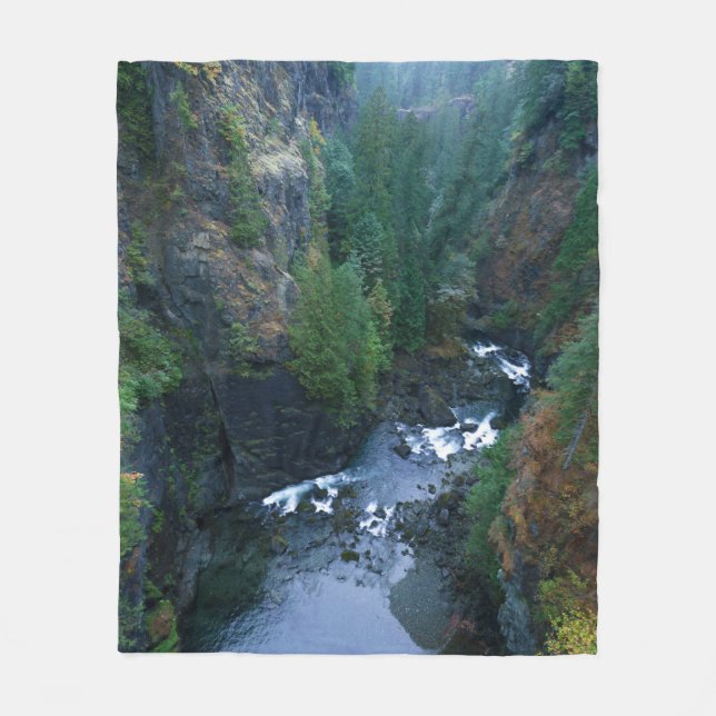 Autumn Colours At The Elk Falls Provincial Park Ac Fleece Blanket (Front)