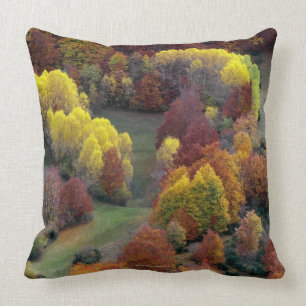 Autumn Colours Cushion