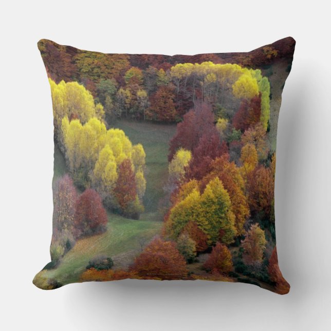 Autumn Colours Cushion (Front)