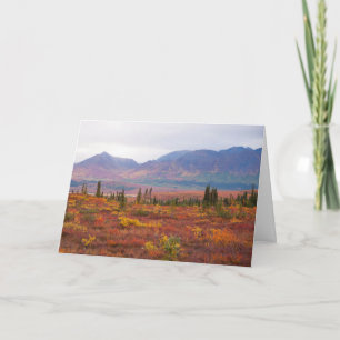 Autumn Colours In Denali National Park, Alaska Card