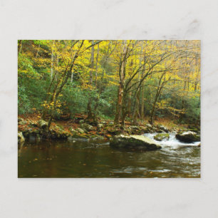 Autumn Colours in Great Smoky Mountains Postcard
