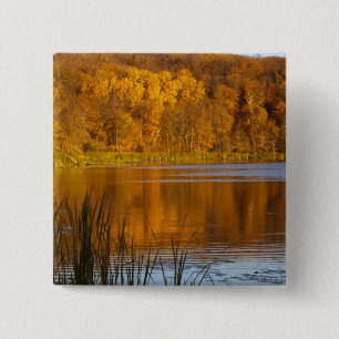 Autumn colours in Maplewood State Park near 15 Cm Square Badge