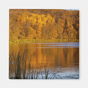Autumn colours in Maplewood State Park near Magnet