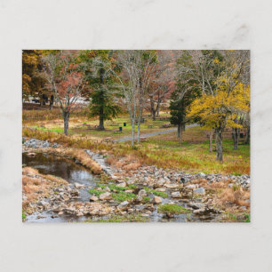 Autumn Colours in Reston Virginia Postcard