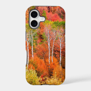 Autumn Colours In Rocky Mountains, Wyoming, USA