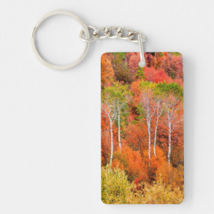 Autumn Colours In Rocky Mountains, Wyoming, USA Key Ring