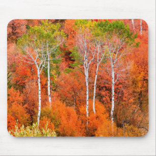 Autumn Colours In Rocky Mountains, Wyoming, USA Mouse Pad