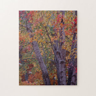 Autumn Colours Jigsaw Puzzle