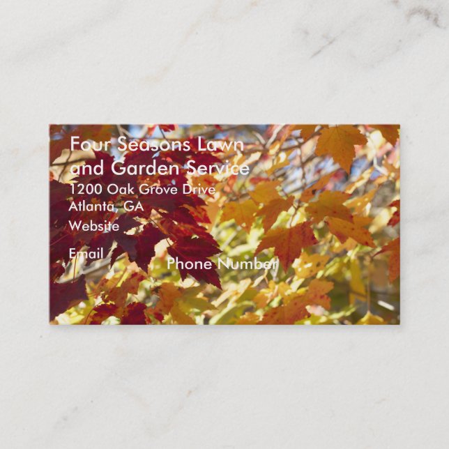 Autumn Colours Leaves Business Card (Front)