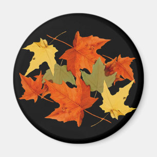 Autumn Colours Magnet