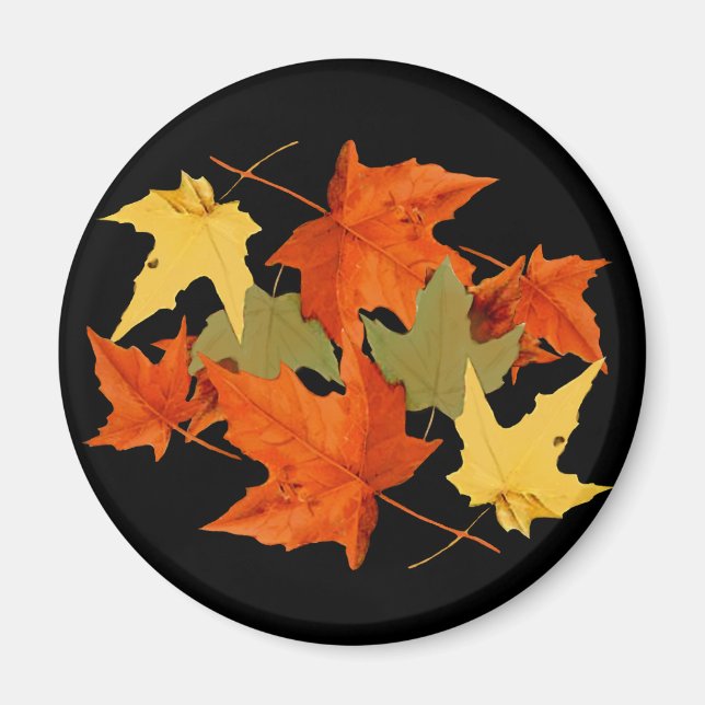 Autumn Colours Magnet (Front)