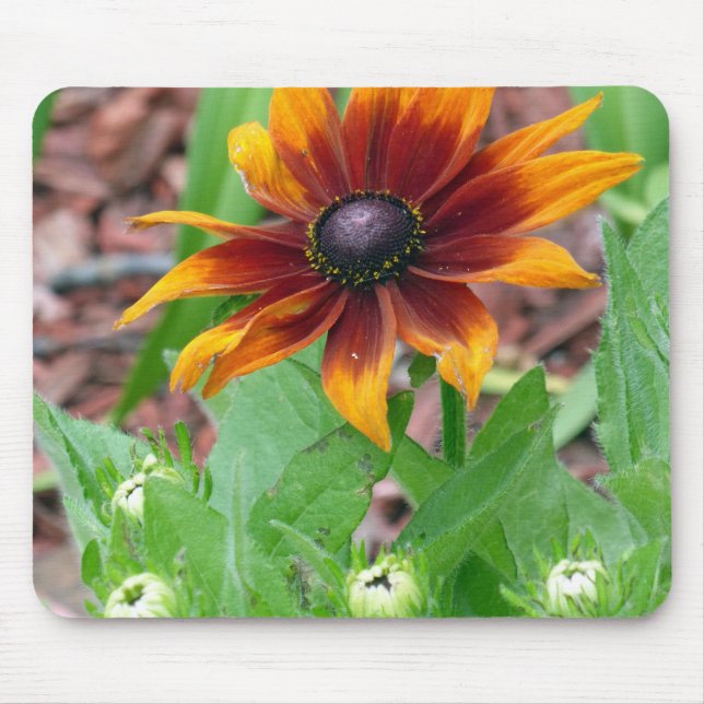 Autumn Colours Mouse Pad (Front)