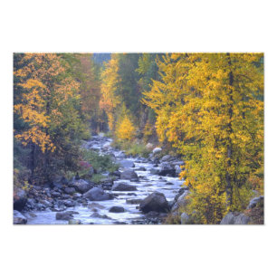 Autumn colours of forests in The Cascade 4 Photo Print