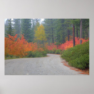 Autumn colours of forests in The Cascade 4 Poster
