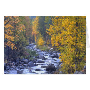 Autumn colours of forests in The Cascade 6