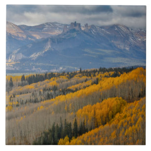 Autumn Colours on Aspen Groves Ceramic Tile