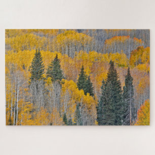 Autumn Colours on Aspen Groves Jigsaw Puzzle