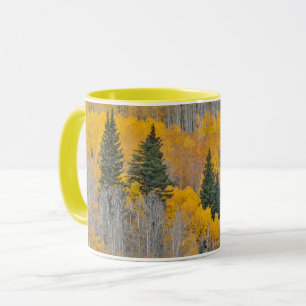 Autumn Colours on Aspen Groves Mug