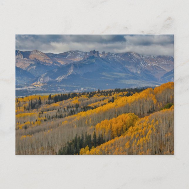 Autumn Colours on Aspen Groves Postcard (Front)
