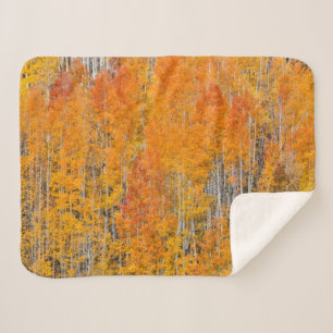 Autumn Colours on Aspen Groves Sherpa Blanket