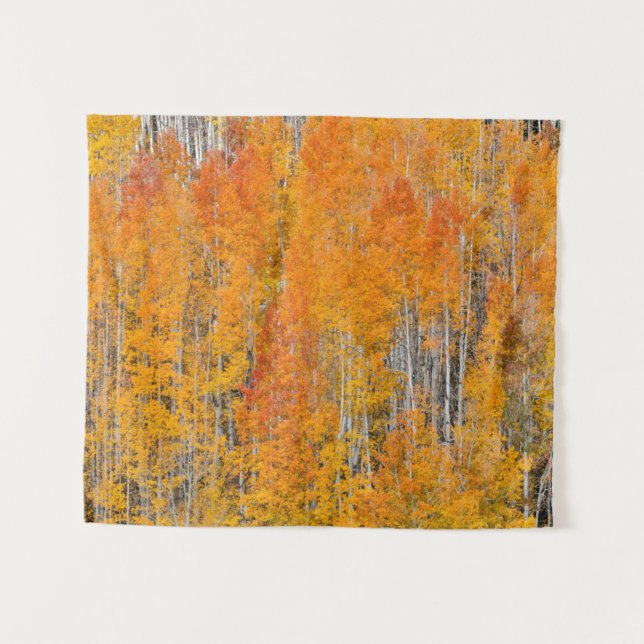 Autumn Colours on Aspen Groves Tapestry (Front (Horizontal))