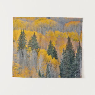 Autumn Colours on Aspen Groves Tapestry