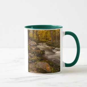 Autumn colours on Crestone Creek Mug