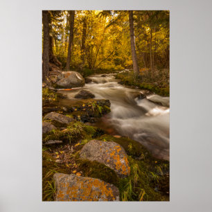 Autumn colours on Crestone Creek Poster