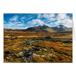 Autumn colours on the landscape