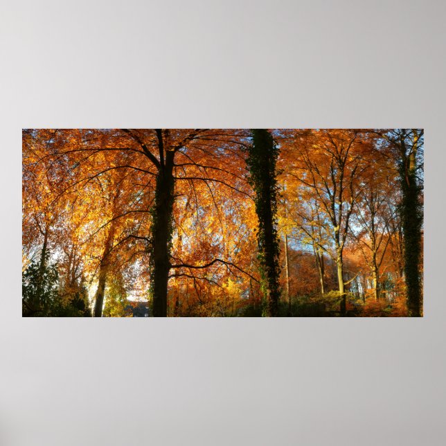 Autumn colours poster (Front)