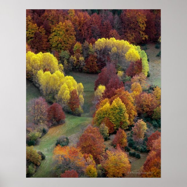 Autumn Colours Poster (Front)