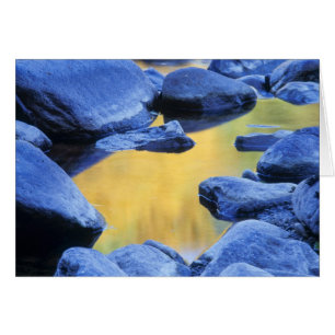 Autumn colours reflected in a wading pool,