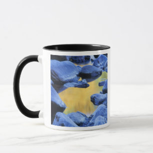 Autumn colours reflected in a wading pool, mug