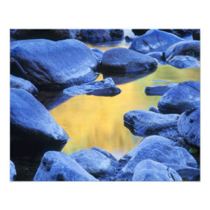 Autumn colours reflected in a wading pool, photo print