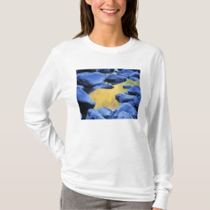 Autumn colours reflected in a wading pool, T-Shirt