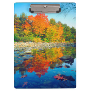 Autumn Colours reflecting in a stream in Vermont Clipboard