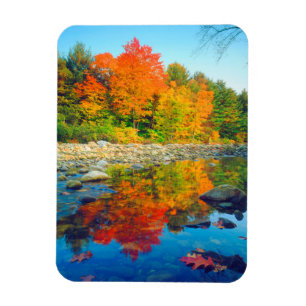 Autumn Colours reflecting in a stream in Vermont Magnet