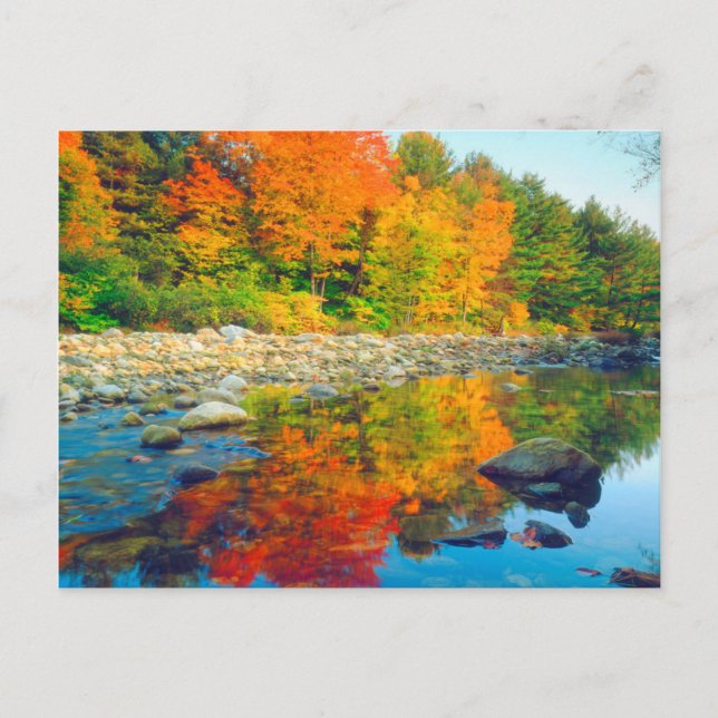 Autumn Colours reflecting in a stream in Vermont Postcard (Front)