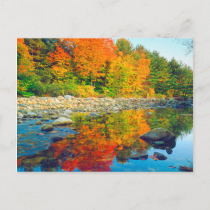 Autumn Colours reflecting in a stream in Vermont Postcard