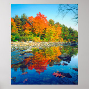 Autumn Colours reflecting in a stream in Vermont Poster