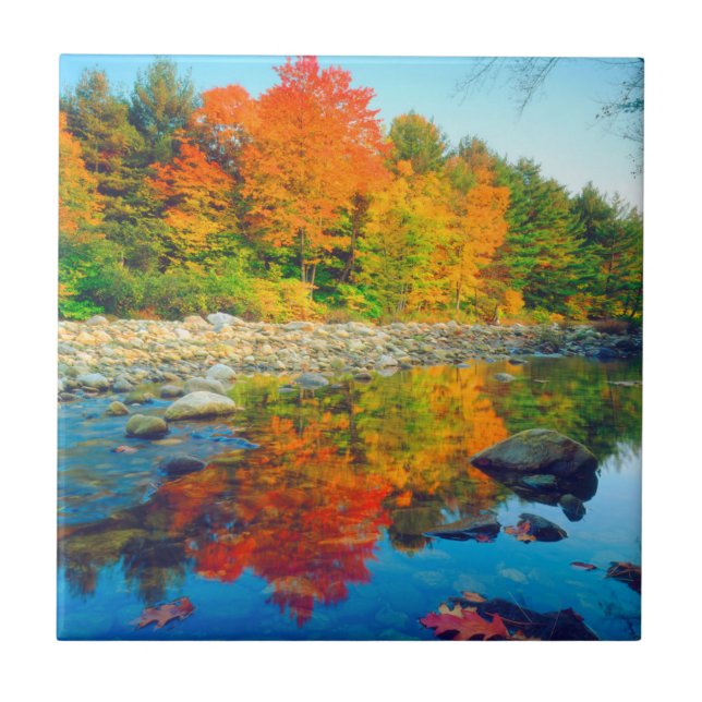 Autumn Colours reflecting in a stream in Vermont Tile (Front)