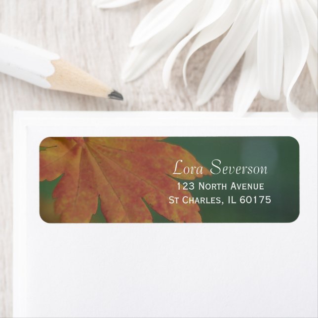 Autumn Colours Return Address Label (Insitu)