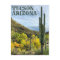 Autumn Colours Saguaro Sabino Canyon
