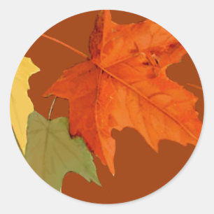 Autumn Colours Sticker