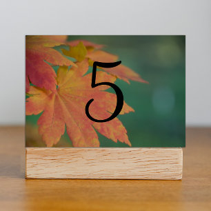 Autumn Colours Wedding Table Numbers