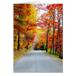 Autumn country road