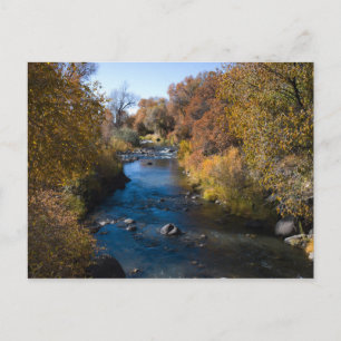Autumn Creek Postcard